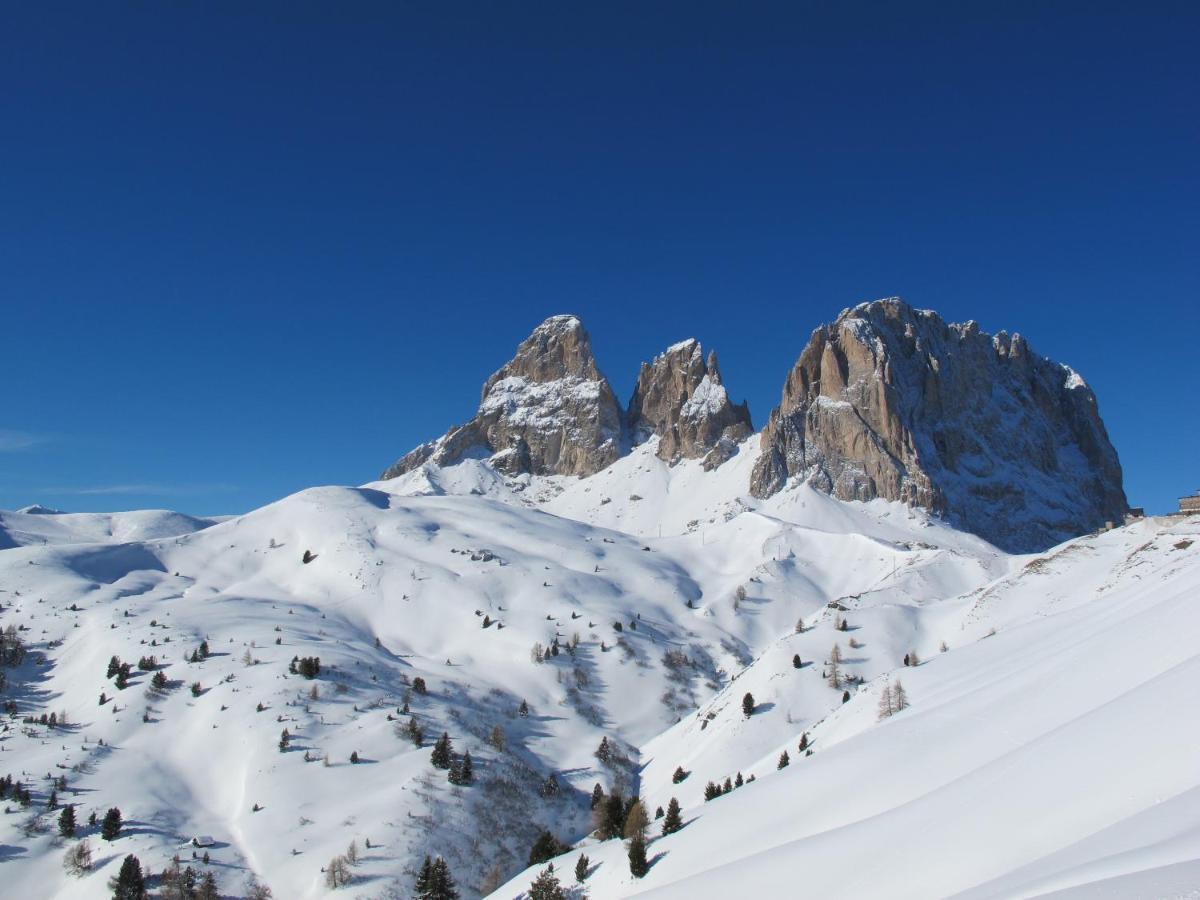 Hotel Soreghes Gran Chalet กัมปีเตลโลดีฟัสซา ภายนอก รูปภาพ
